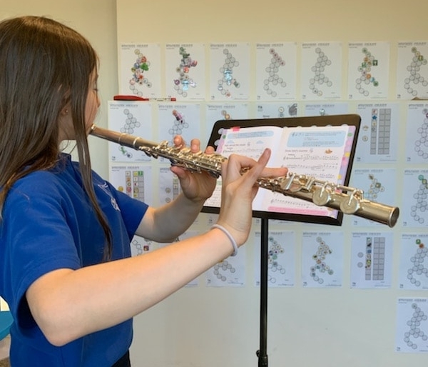 Learn Through Music - Flute Lessons