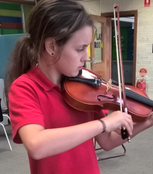 Learn Through Music - Violin Lessons